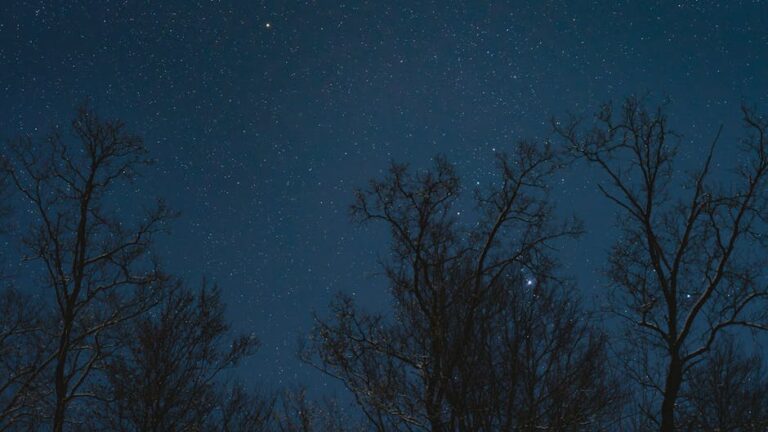 Sporcular İçin Uyku Hijyeni: 7 Adımlık Gece Rutinleri
