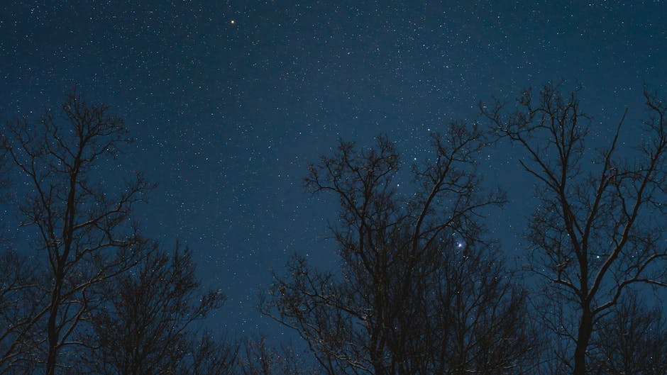 Sporcular İçin Uyku Hijyeni: 7 Adımlık Gece Rutinleri